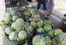 攸县吃瓜比赛事件,一场别开生面的乡村趣味竞技盛宴