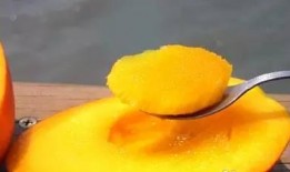 芒果吃瓜社跳舞,舞动青春，共赴欢乐盛宴