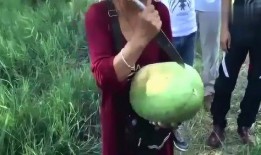 蒙古人吃瓜,蒙古人独特的饮食习惯