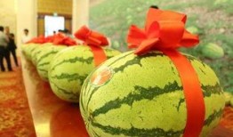 宁中学吃瓜,吃瓜群众的热议焦点