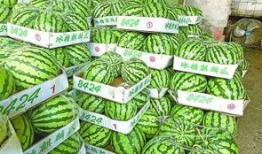 武汉吃瓜的视频,趣味横生的市井百态