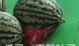 突然开始吃瓜,揭秘突然爆红的吃瓜热潮