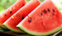 摘白瓜吃西瓜,一场味蕾的奇妙之旅