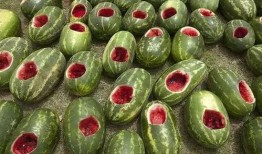 保定吃瓜上谷大观,探寻上谷大观美食之旅