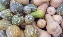 一女吃瓜,一女子意外吃瓜引发的趣味故事