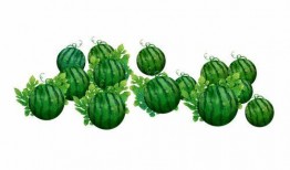 阿落吃瓜,揭秘娱乐圈幕后故事