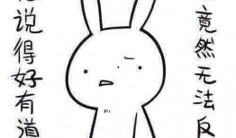 带你吃瓜奇葩老鼠,吃瓜群众眼中的奇葩老鼠传奇