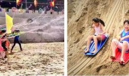 赶海吃海瓜视频,一场别开生面的海洋盛宴