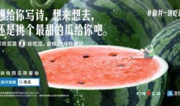 老司机怎么吃瓜,揭秘娱乐圈幕后真相
