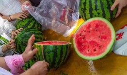 天津视频吃瓜,揭秘网络热传事件背后的真相