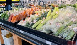 成都吃瓜站,揭秘网红美食背后的故事