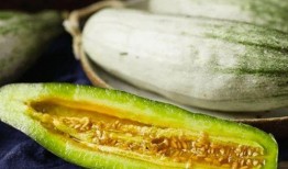 吃瓜研究,校园里的“瓜田”奇观