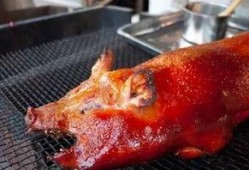 猪霸吃瓜,揭秘娱乐圈的“瓜田”风云