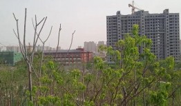 曹县翰林府邸吃瓜