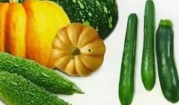 吃瓜黑聊网,揭秘网络社交背后的秘密