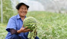 吃瓜群众有福吗,福兮祸兮，揭秘网络围观背后的真相