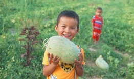 踏月留香最新吃瓜,揭秘娱乐圈最新吃瓜事件