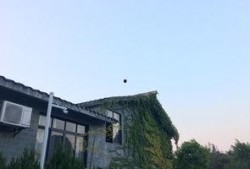 柳州楼叔吃瓜,揭秘吃瓜背后的故事与趣味