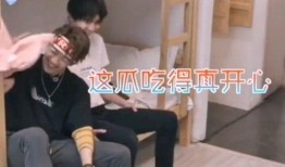 吃瓜恶搞前线,揭秘娱乐圈幕后趣闻