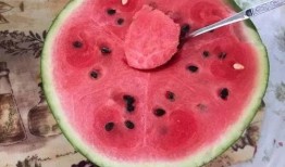 回家吃自己家种的瓜,瓜熟蒂落，家的味道