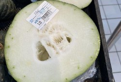 成都吃瓜站,揭秘网红美食背后的故事