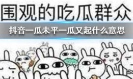 抖音吃瓜曼,揭秘娱乐圈幕后故事