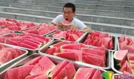 成都吃瓜站,揭秘网红美食背后的故事