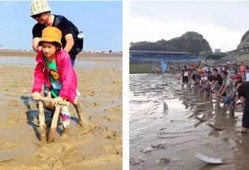 赶海吃海瓜视频,一场别开生面的海洋盛宴