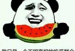 吃瓜最新事件梗概,最新事件背后的惊人真相