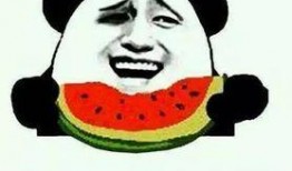 吃瓜最新事件梗概,最新事件背后的惊人真相