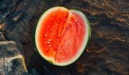 坐定吃瓜,品味生活百态