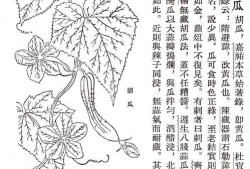 古代吃瓜心声,探寻古代百姓的消夏心声