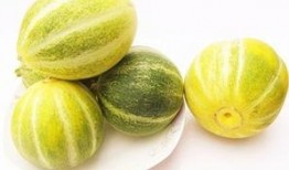 小圆瓜咋吃,解锁美味新境界