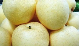 小甜梨吃瓜,揭秘娱乐圈那些不为人知的幕后故事