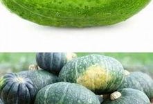 面瓜怎么吃啊,探索面瓜的多样美味