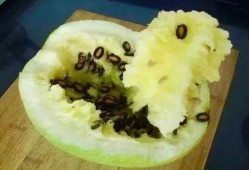 吃的籽瓜,探寻传统美食的独特魅力