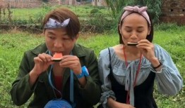 吃瓜比赛双人,吃瓜比赛双生巅峰对决