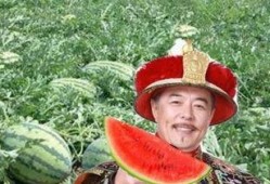 吃皇帝的瓜,揭秘皇帝瓜果背后的传奇故事