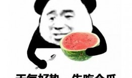 吃瓜表情很恶心,一场关于恶心的网络狂欢