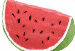 瓜皮的吃瓜群众,揭秘吃瓜群众的狂欢世界