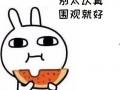 瓜哥吃瓜文言文