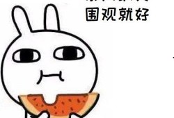 瓜哥吃瓜文言文