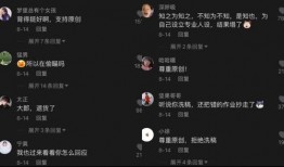 吃瓜评论带声音,揭秘网络热议背后的真相