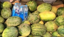 拉瓜头怎么吃,解锁独特风味，尽享美味佳肴