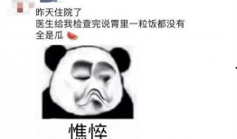 休息在家没事吃瓜,畅享瓜界盛宴