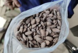 利用吃瓜挣钱,揭秘网络时代的新型盈利模式