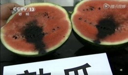 广东湛江吃瓜视频,一场视觉与味蕾的双重盛宴