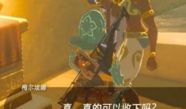 塞尔达女城吃瓜