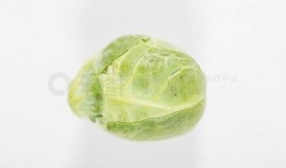 吃瓜特写图片,揭秘吃瓜特写下的视觉盛宴