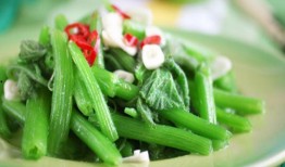 独苗吃瓜,揭秘瓜农的甜蜜苦涩人生